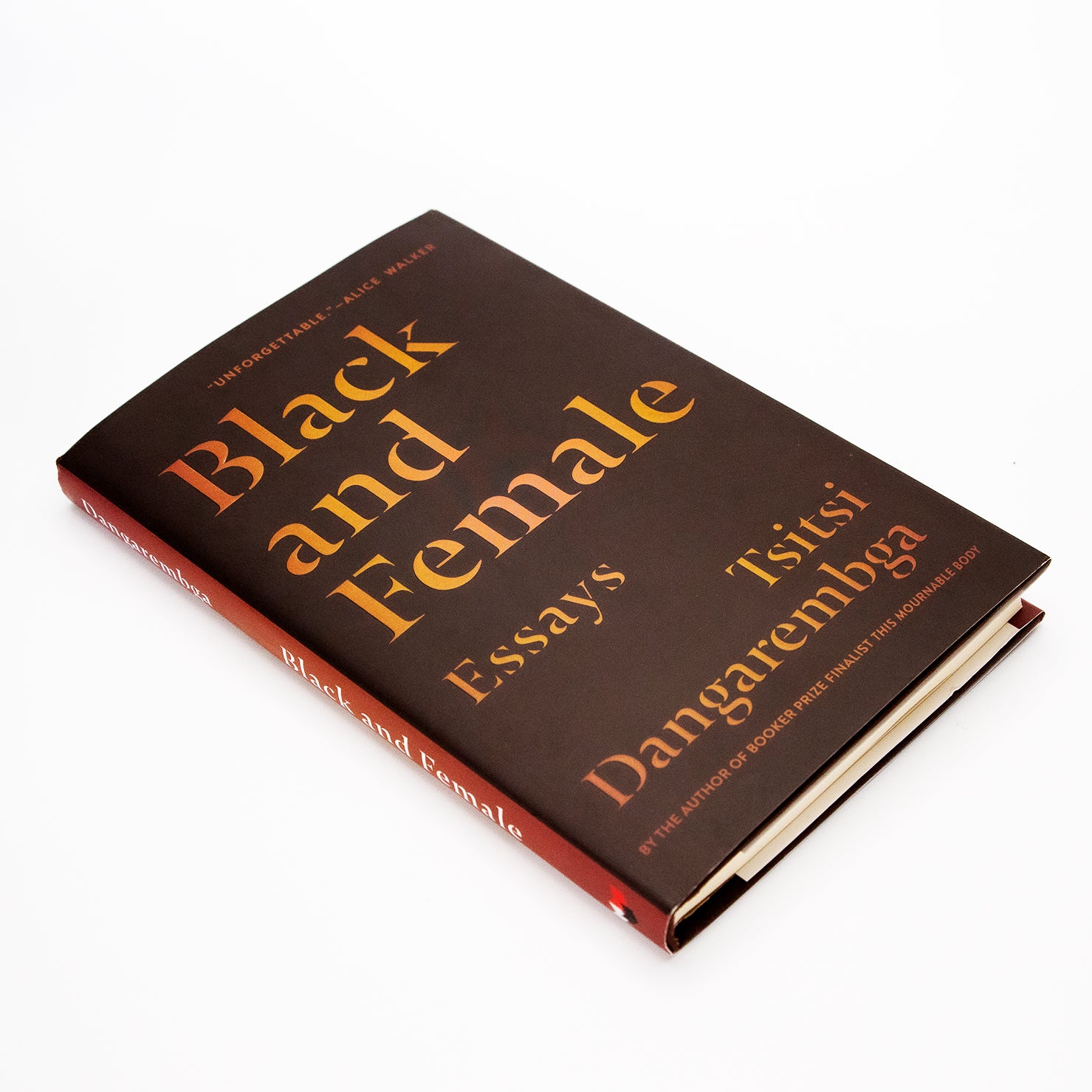 Black and Female: Essays