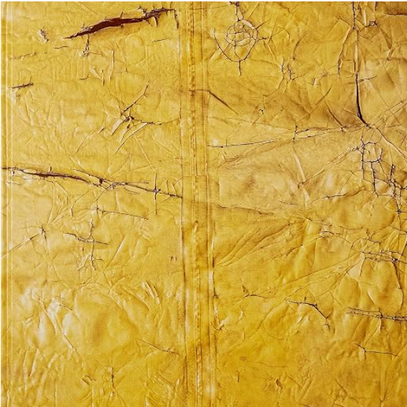 David Hammons