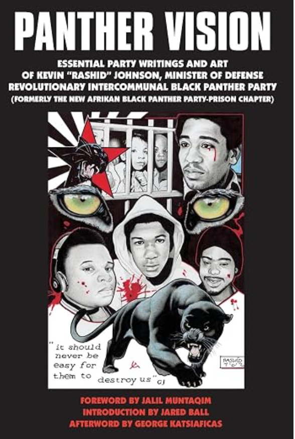 Panther Vision: Essential Party Writings and Art of Kevin “Rashid” Johnson by Kevin "Rashid" Johnson (Author), Tom "Big Warrior" Watts (Preface), Jared Ball (Introduction),