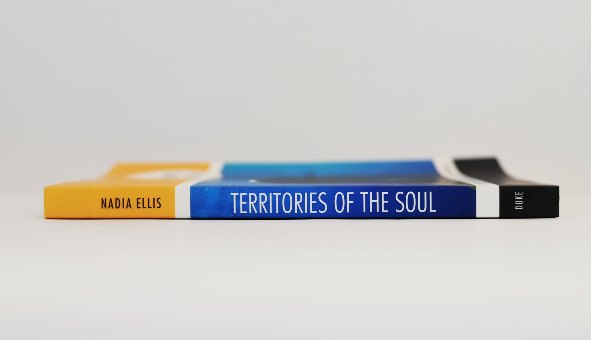 Territories of the Soul: Queered Belonging in the Black Diaspora